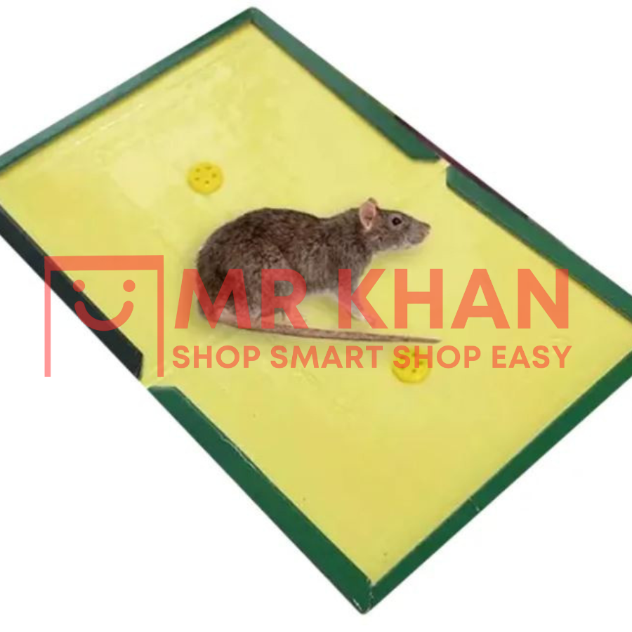 Reusable Expert Mouse Glue Traps